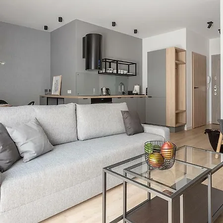 Viu Old Town Terrace Apartment Gdansk Exterior photo